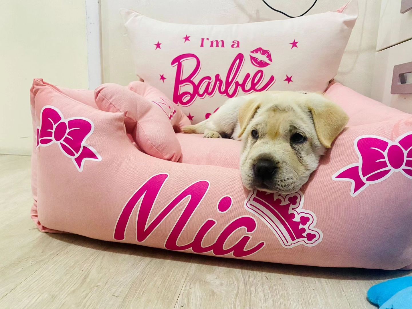 Cuccia personalizzata per cane tema Barbie