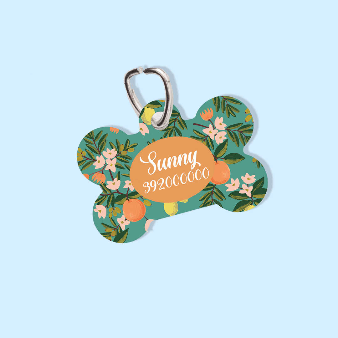 Personalized ID Tag - Fruity